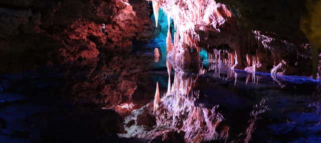 Escursione alle grotte di Hams e Dinosaurland