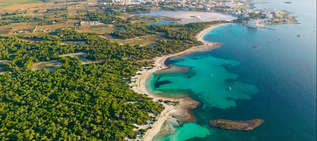 Escursione alla spiaggia di Es Trenc in barca