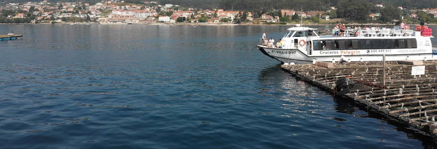 Boat Trip on the Ría de Pontevedra