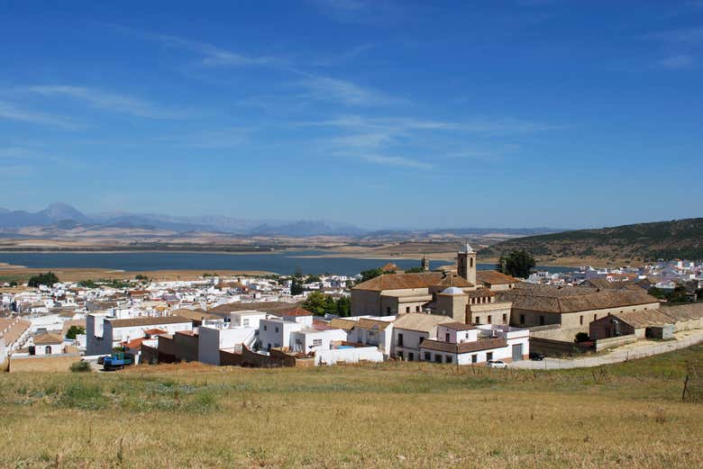 Imagen 6