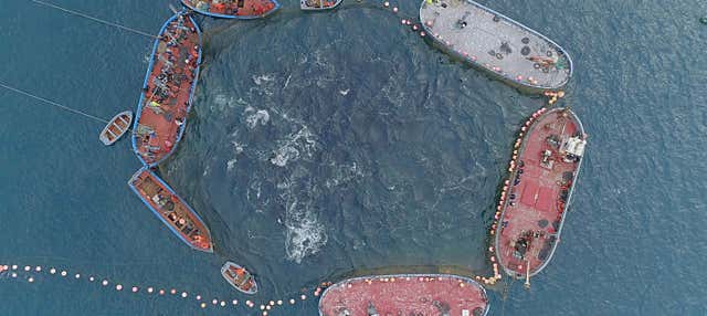 Ruta de la Almadraba de Conil en barco