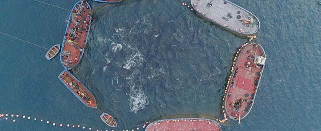 Ruta de la Almadraba de Conil en barco