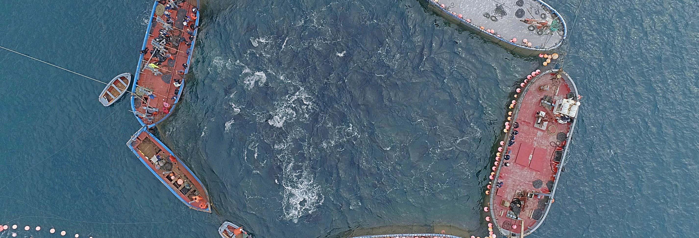 Ruta de la Almadraba de Conil en barco