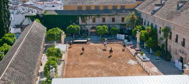 Spettacolo equestre alle Caballerizas Reales