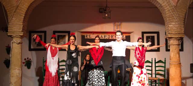 Spettacolo di flamenco al tablao El Cardenal