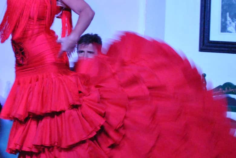 Imagen 6