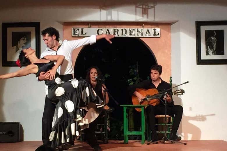 Imagen 5