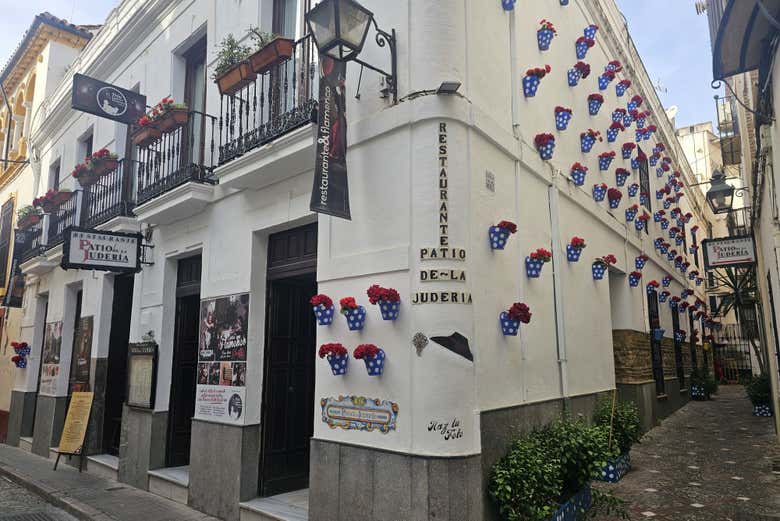 Imagen 4