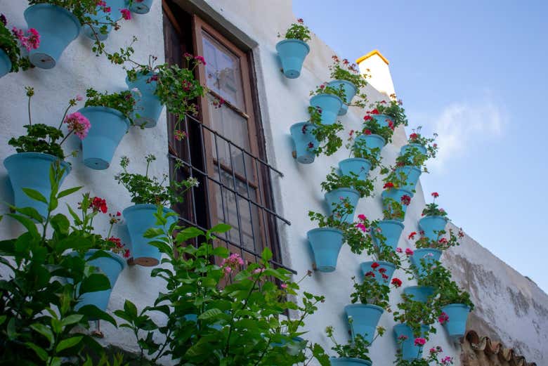 CĂłrdoba Courtyards Tickets