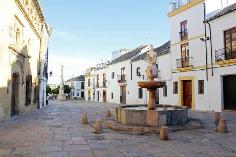 Imagen 8