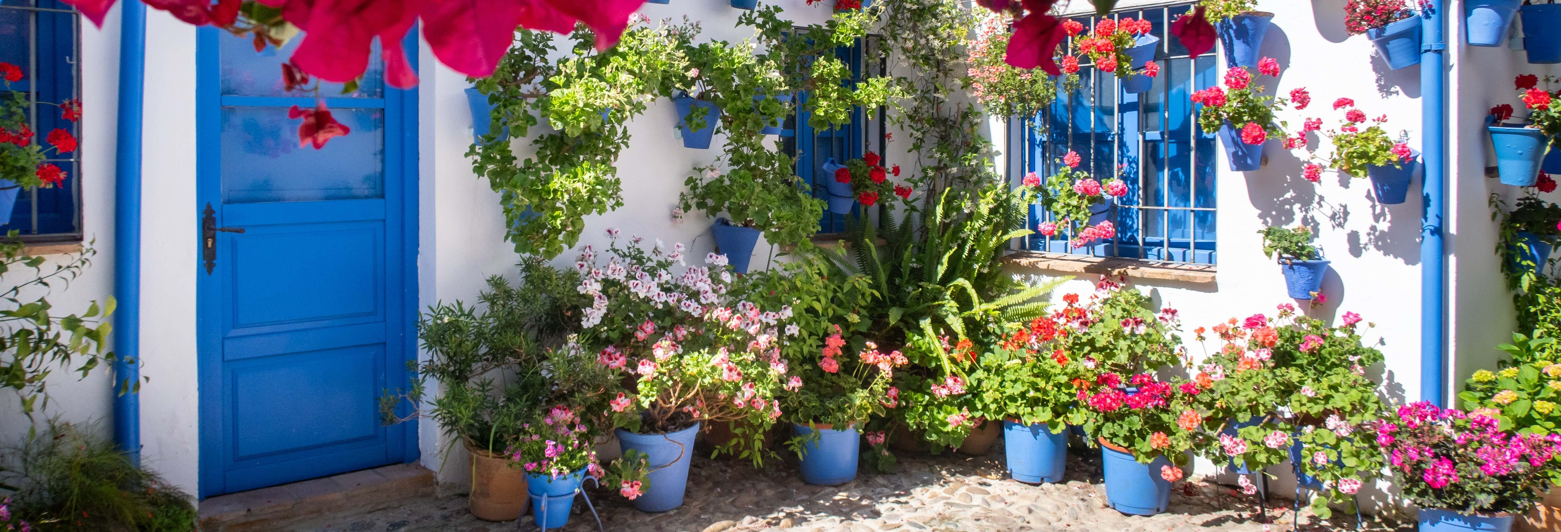 Tour del quartiere ebraico e dei cortili di Cordova