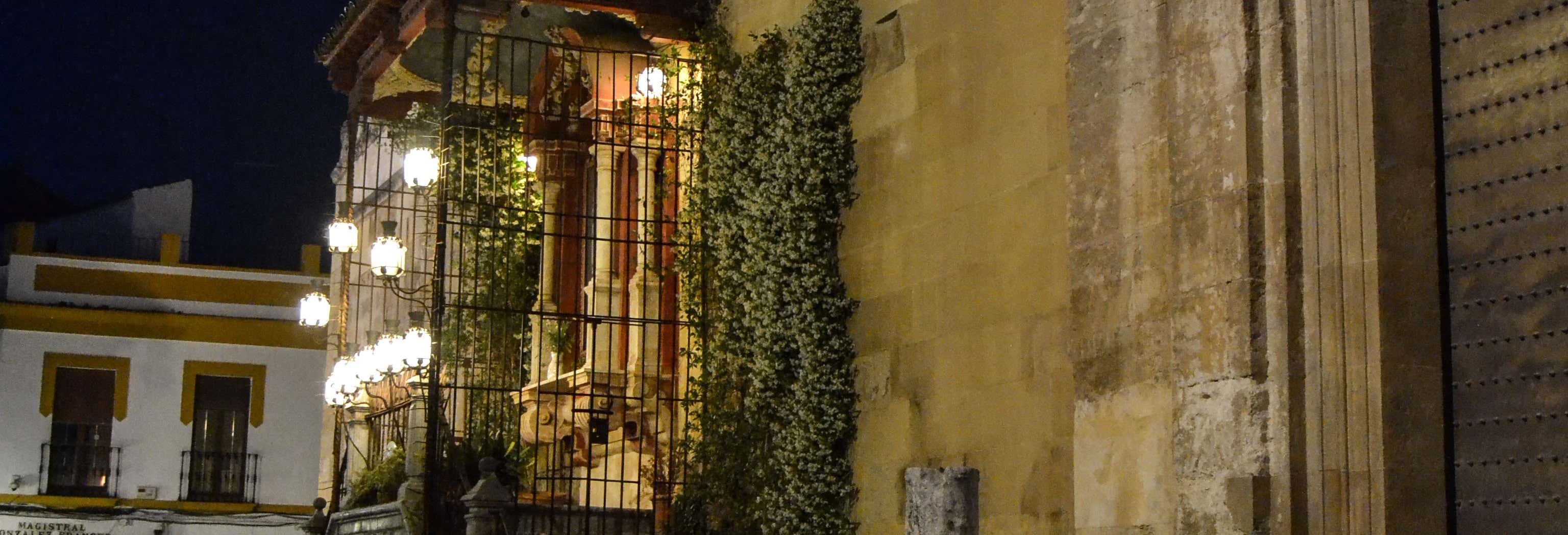 Tour nocturno por la judería de Córdoba + Naturaleza Encendida