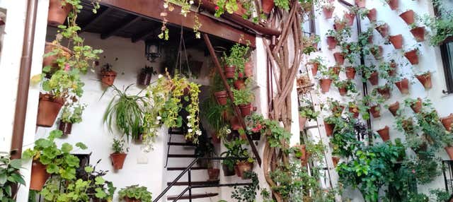 Tour privado por los Patios de Córdoba