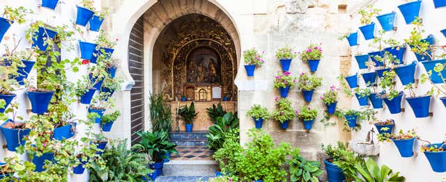 Visite guidée à travers les patios de Cordoue