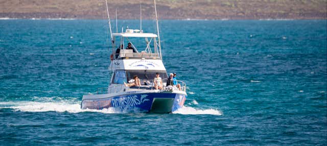Giro in barca con avvistamento di cetacei da Corralejo