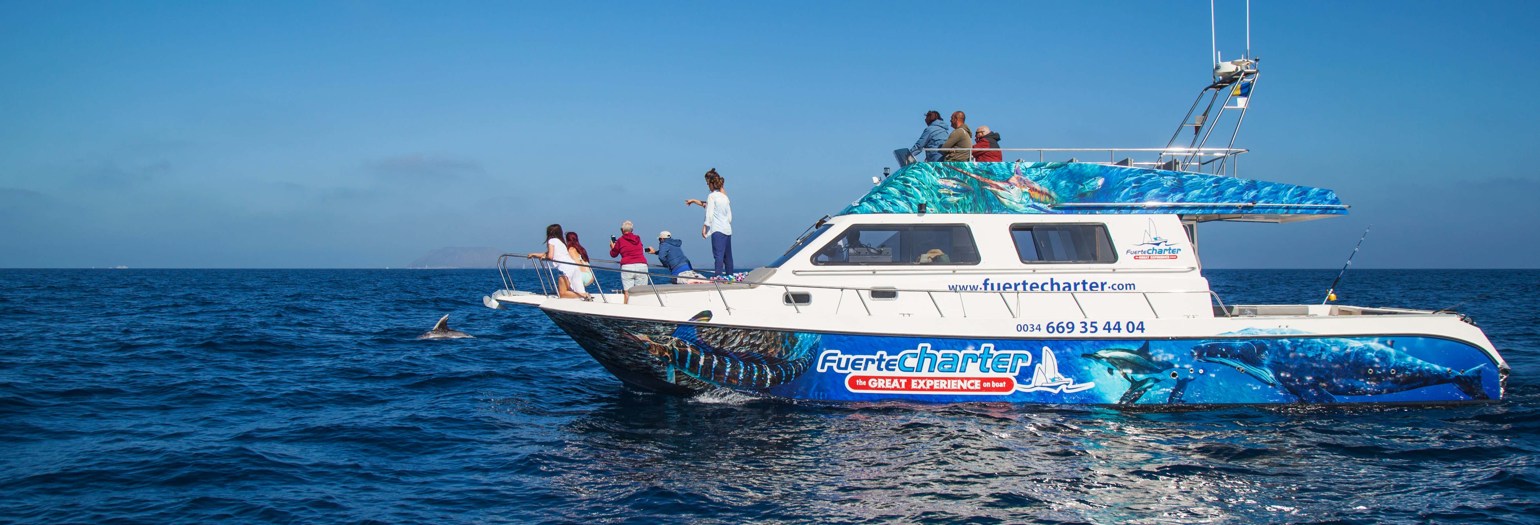 Whale Watching Catamaran Tour