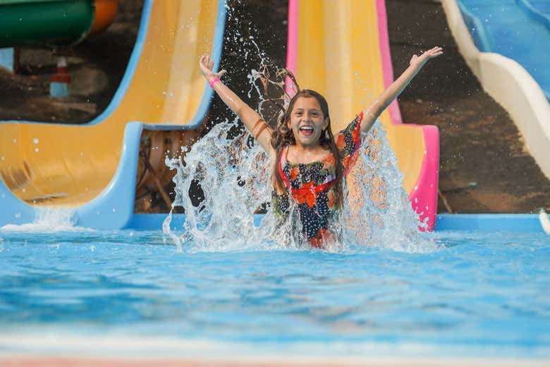 Imagen 5