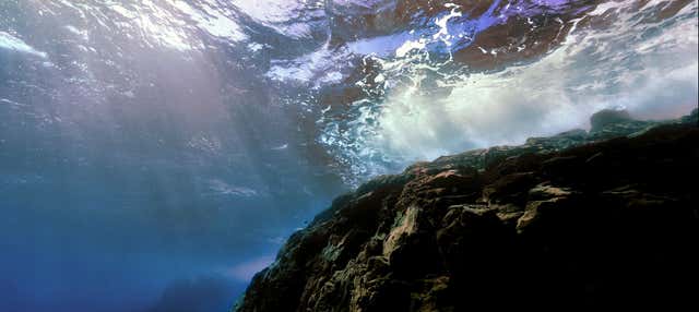 Giro in barca fra le lingue di lava di Costa Adeje + Snorkeling