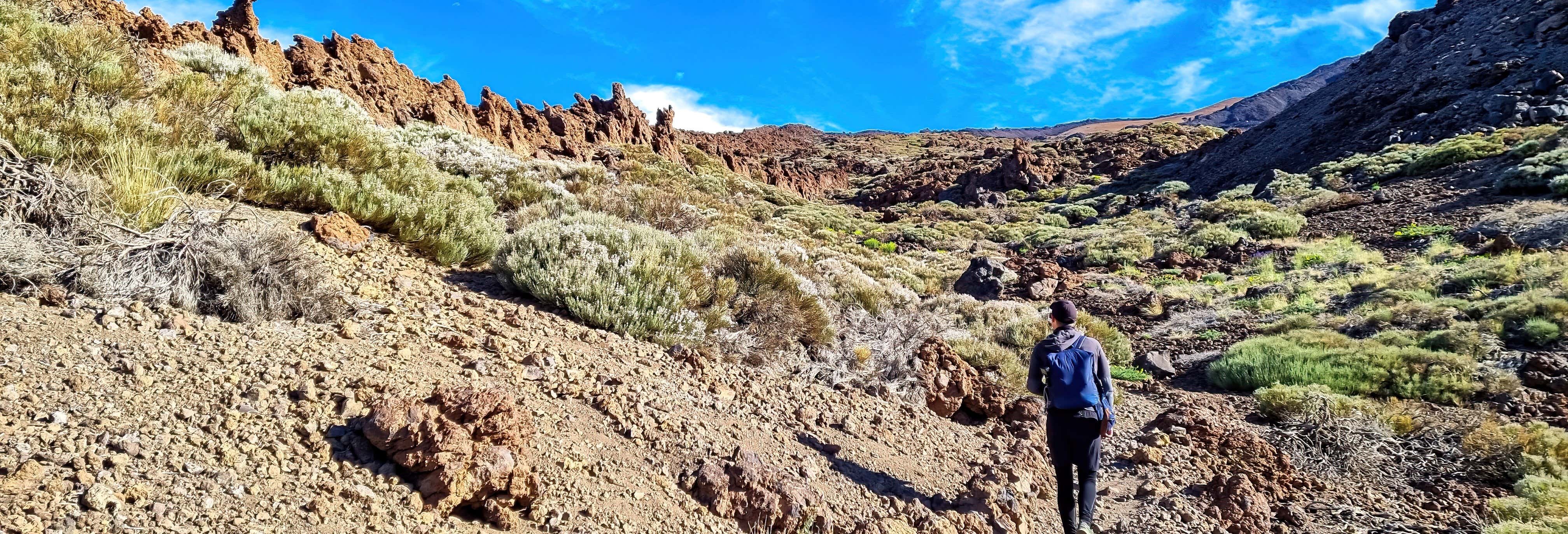 Teide Cable Car + Hike to the Summit