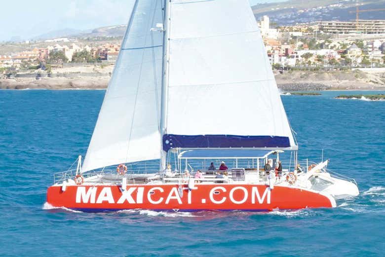 Imagen 7