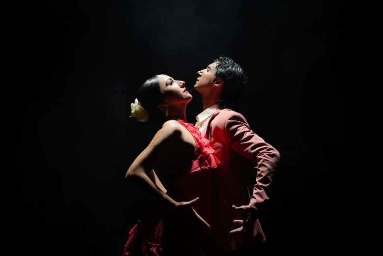 Imagen 6