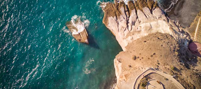 Giro in catamarano di 3 ore con avvistamento e ascolto di cetacei