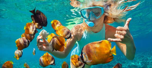 Snorkeling alla Pared de El Palmar