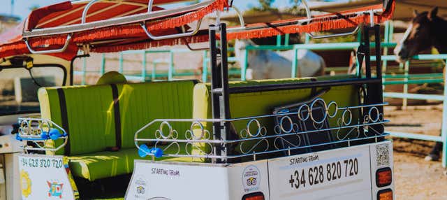 Tour di Costa Adeje in tuk tuk