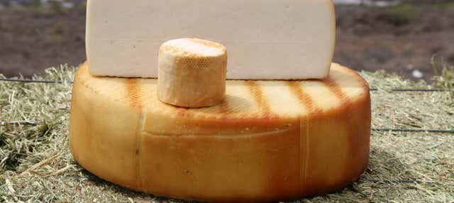 Visita del caseificio Montesdeoca