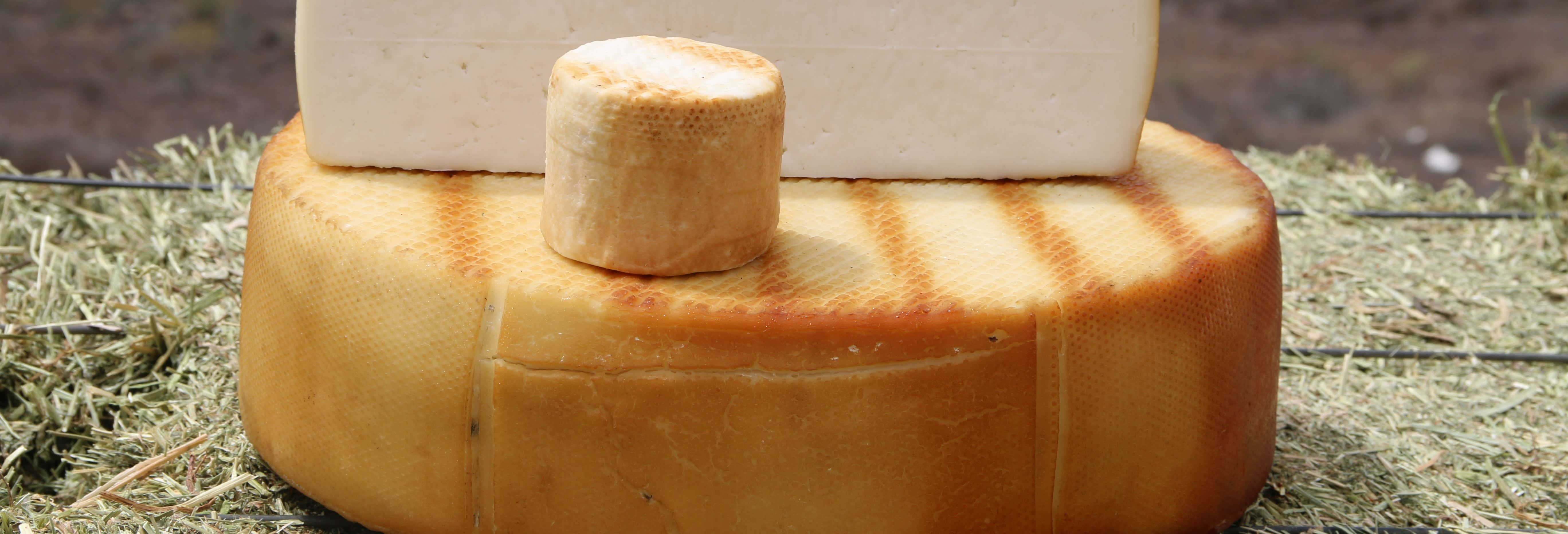 Visita del caseificio Montesdeoca