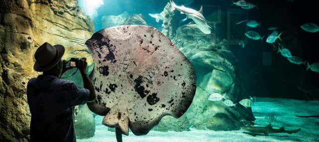 Biglietti per l'Aquarium di Costa Teguise