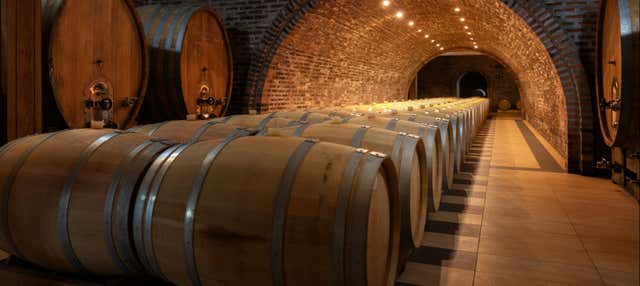 Visita alle cantine Alfredo Santamaría