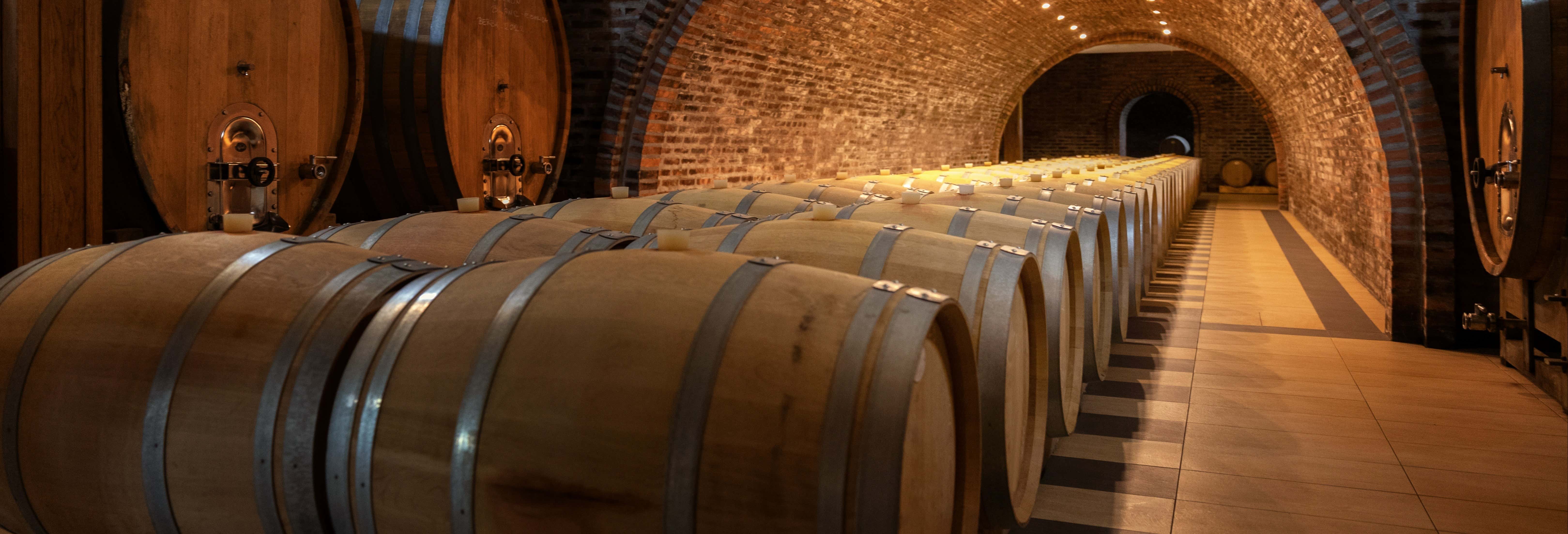 Visita alle cantine Alfredo Santamaría