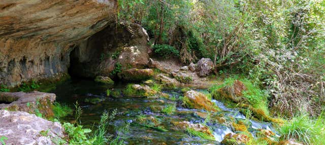 Escursione alla sorgente del fiume Cuervo e al Callejón de las Majada