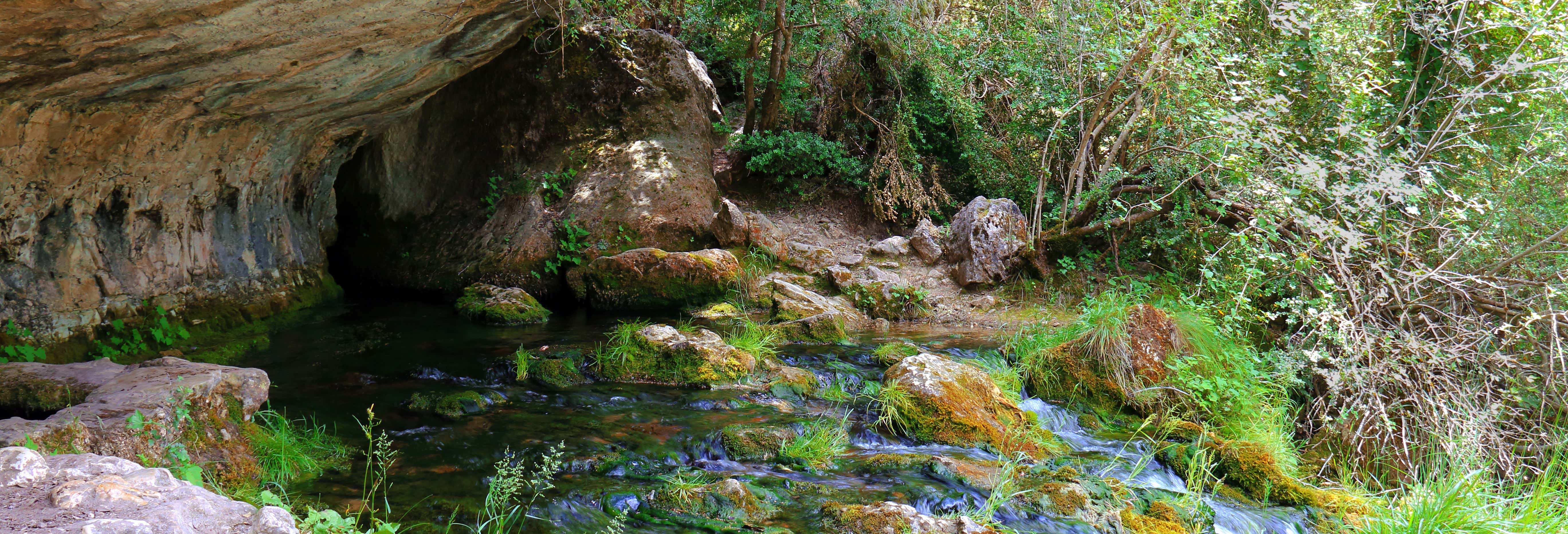 Escursione alla sorgente del fiume Cuervo e al Callejón de las Majada