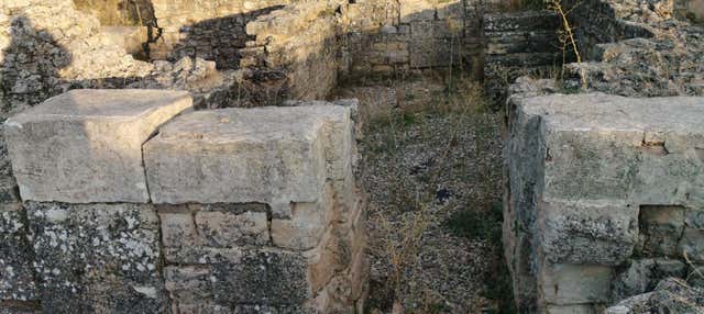 Escursione al sito archeologico di Valeria