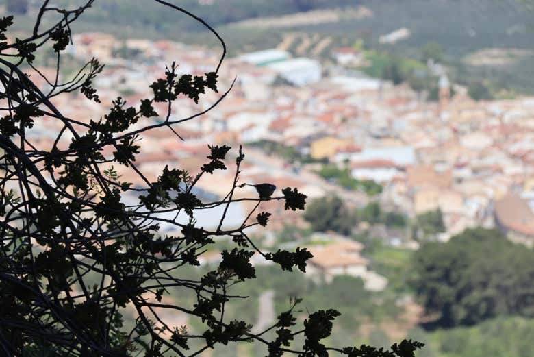 Imagen 8