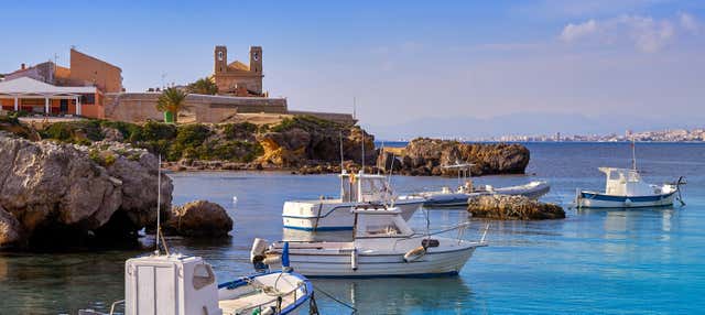 Escursione all'isola di Tabarca e al palmeto di Elche