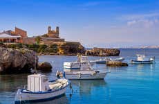 Excursión a la isla de Tabarca y el palmeral de Elche