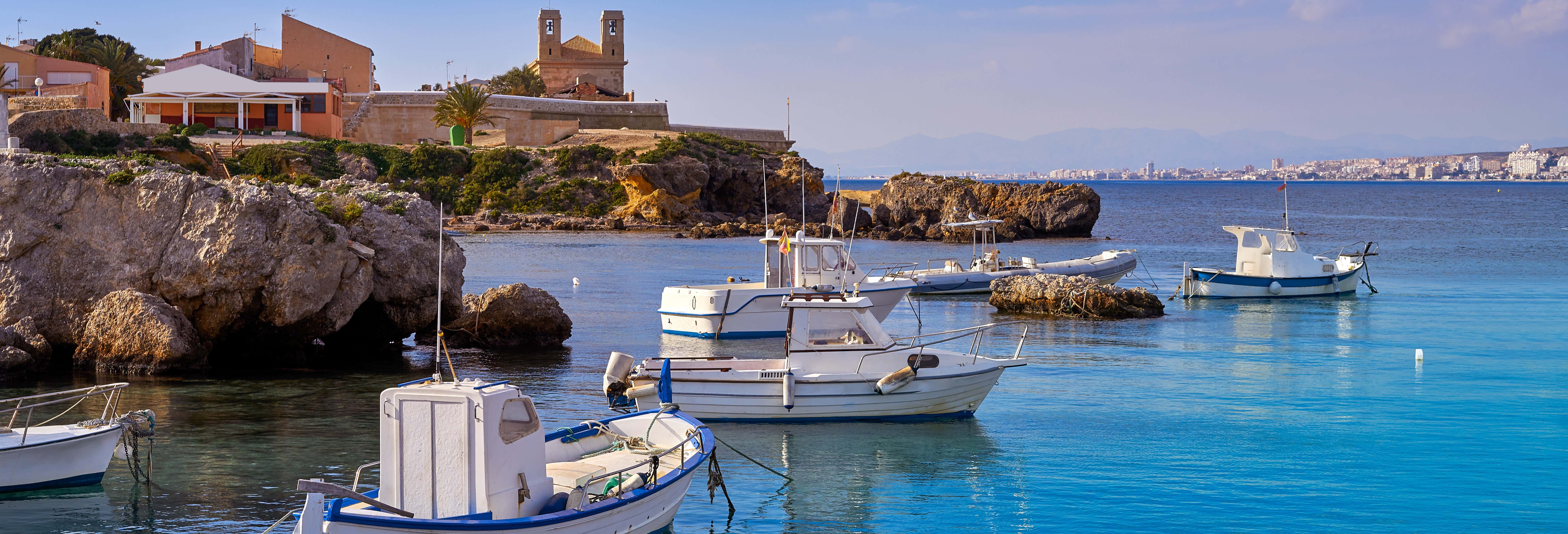 Escursione all'isola di Tabarca e al palmeto di Elche