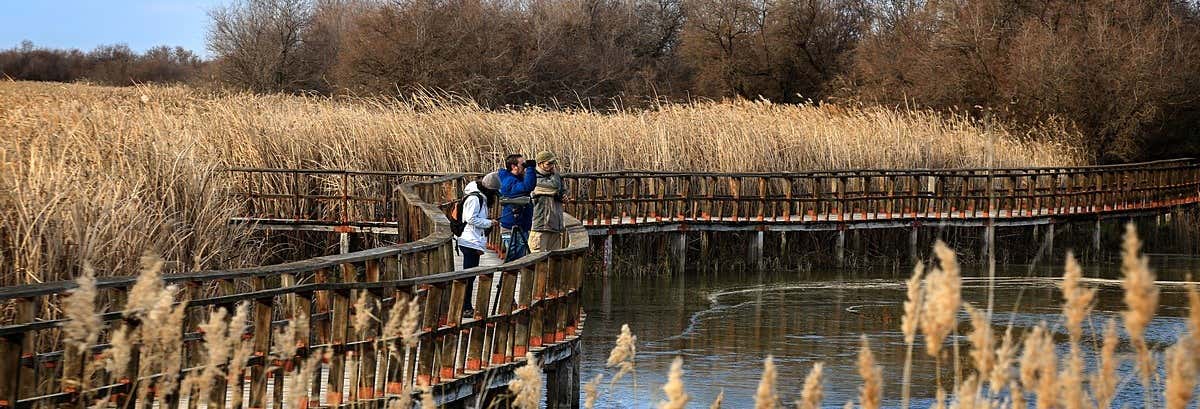 Tour panorámico y senderismo por las Tablas de Daimiel