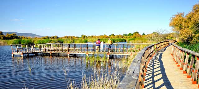 Trekking alle Tablas de Daimiel