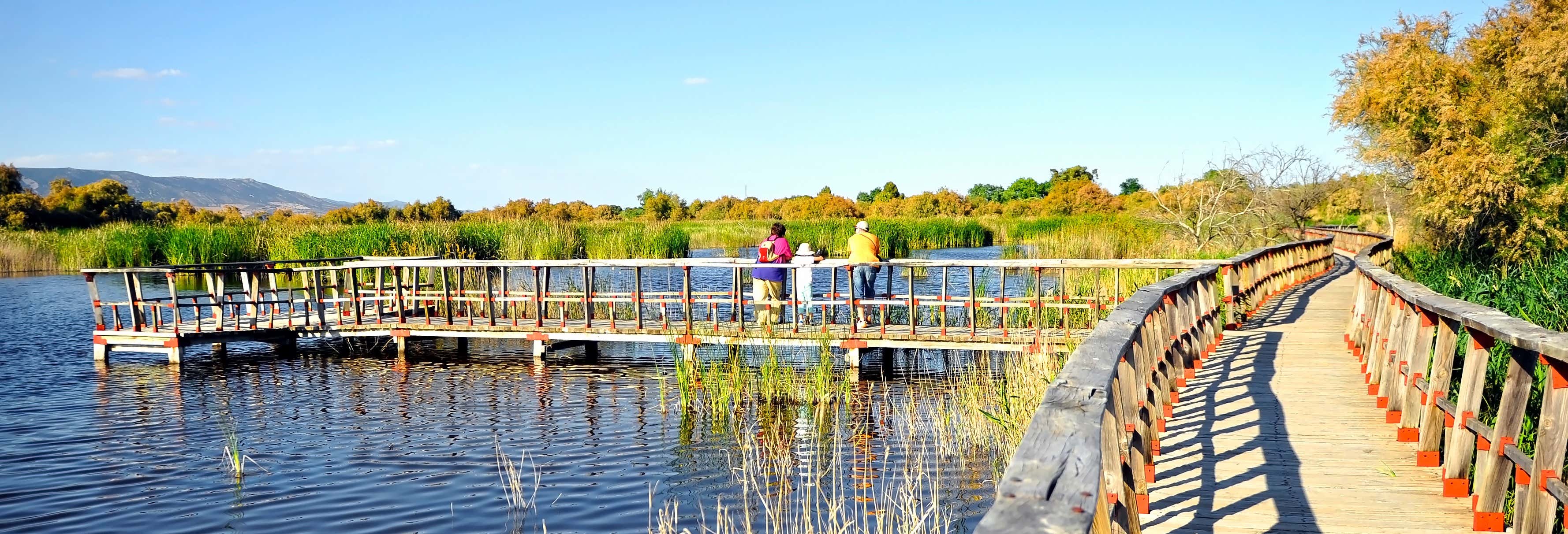 Trekking alle Tablas de Daimiel