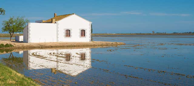 Passeggiata a cavallo al Delta dell'Ebro