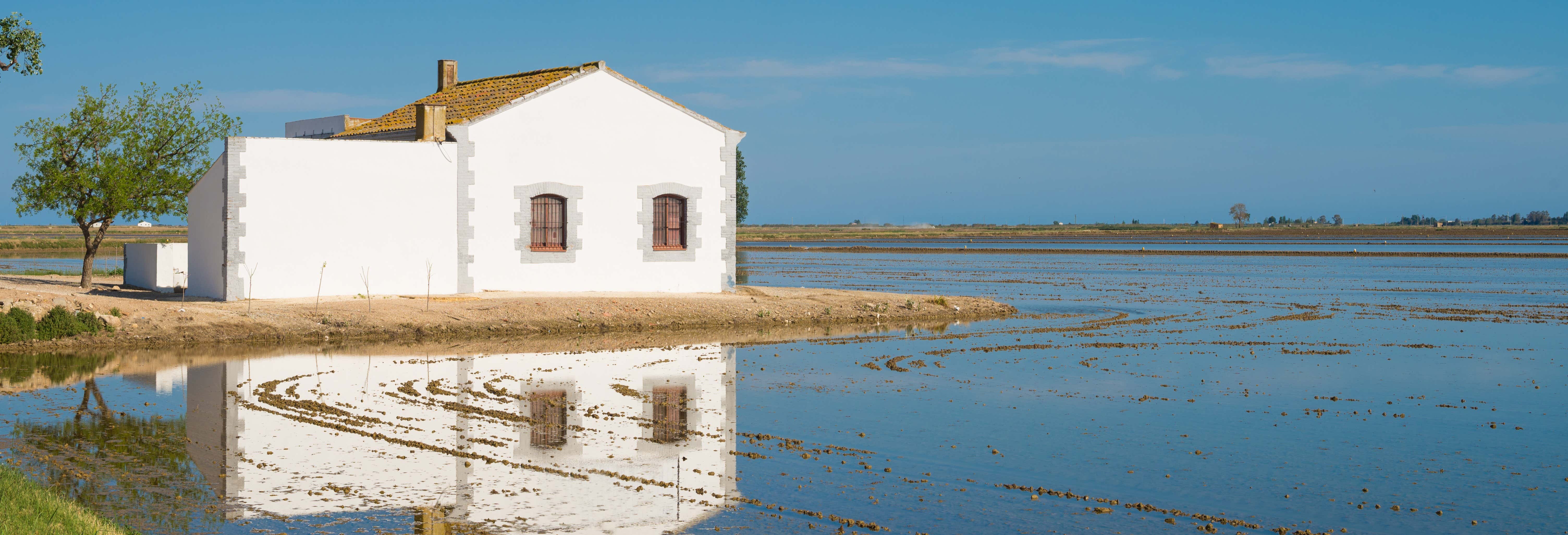 Ebro Delta Horse Riding Tour