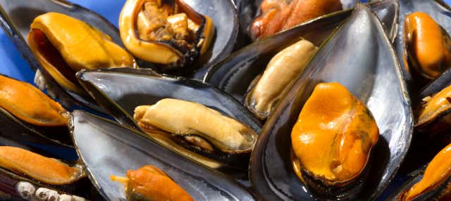 Laboratorio di pesca di frutti di mare sul Delta dell'Ebro + Degustazione di cozze