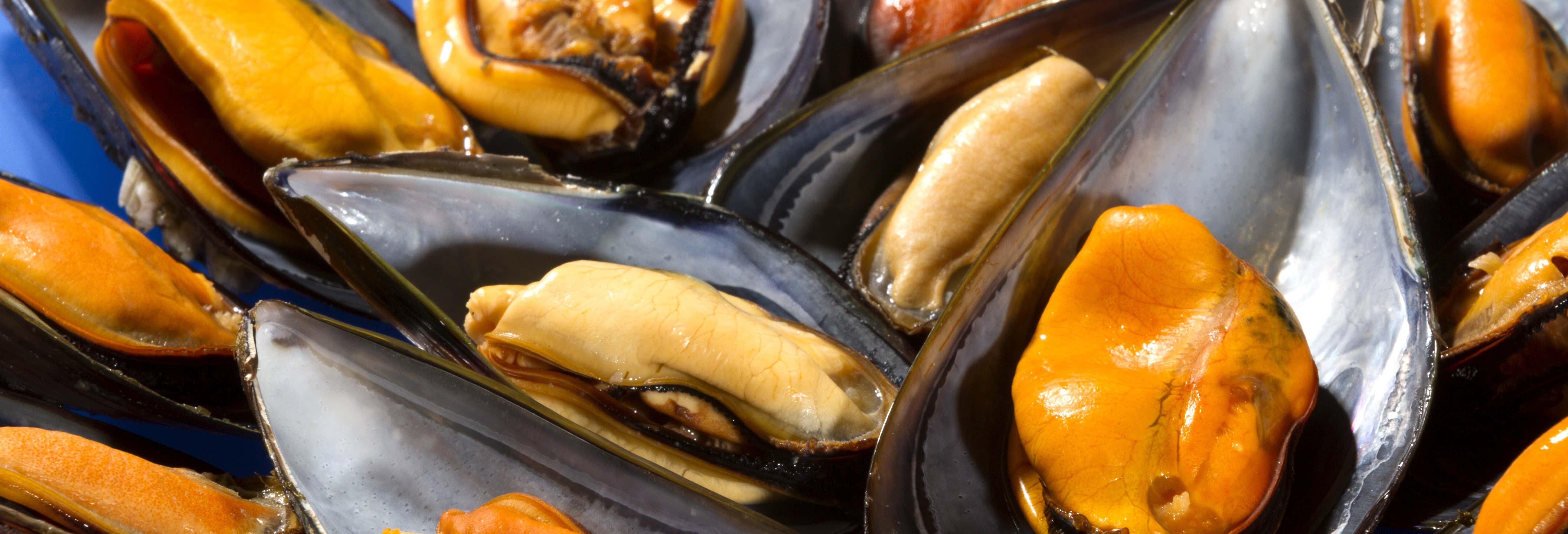 River Ebro Seafood Workshop + Mussel Tasting