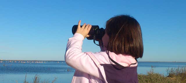 Tour della baia del Fangar