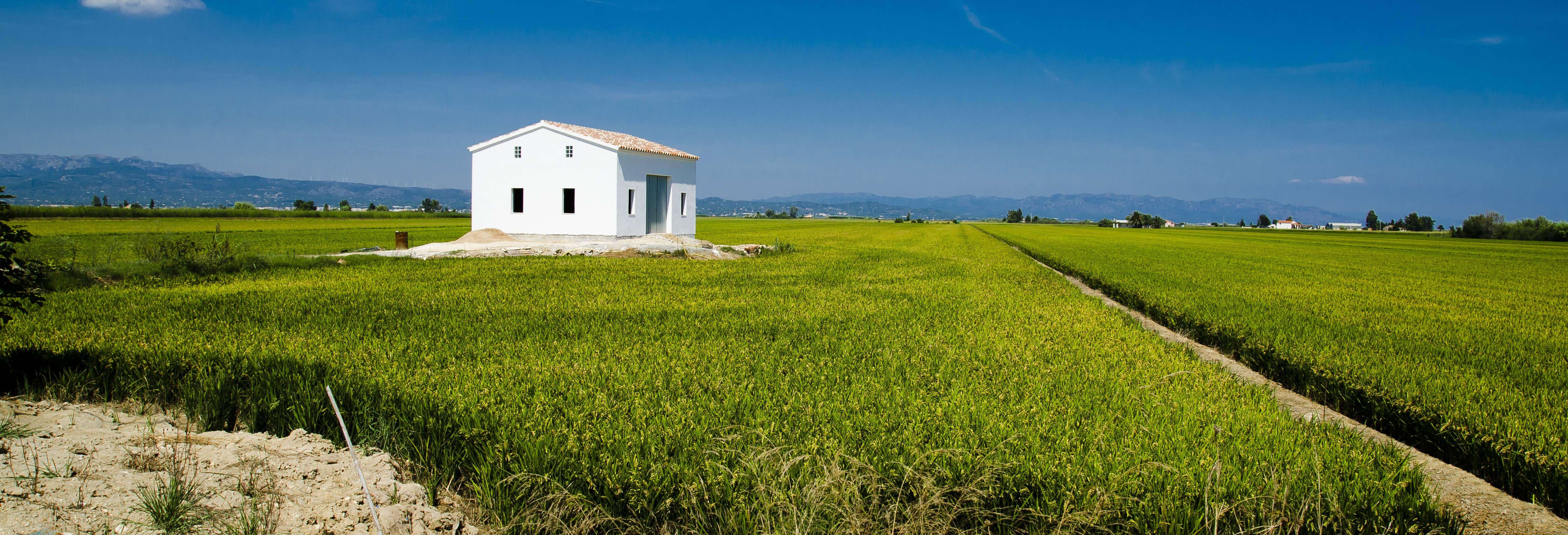Tour por el Delta del Ebro