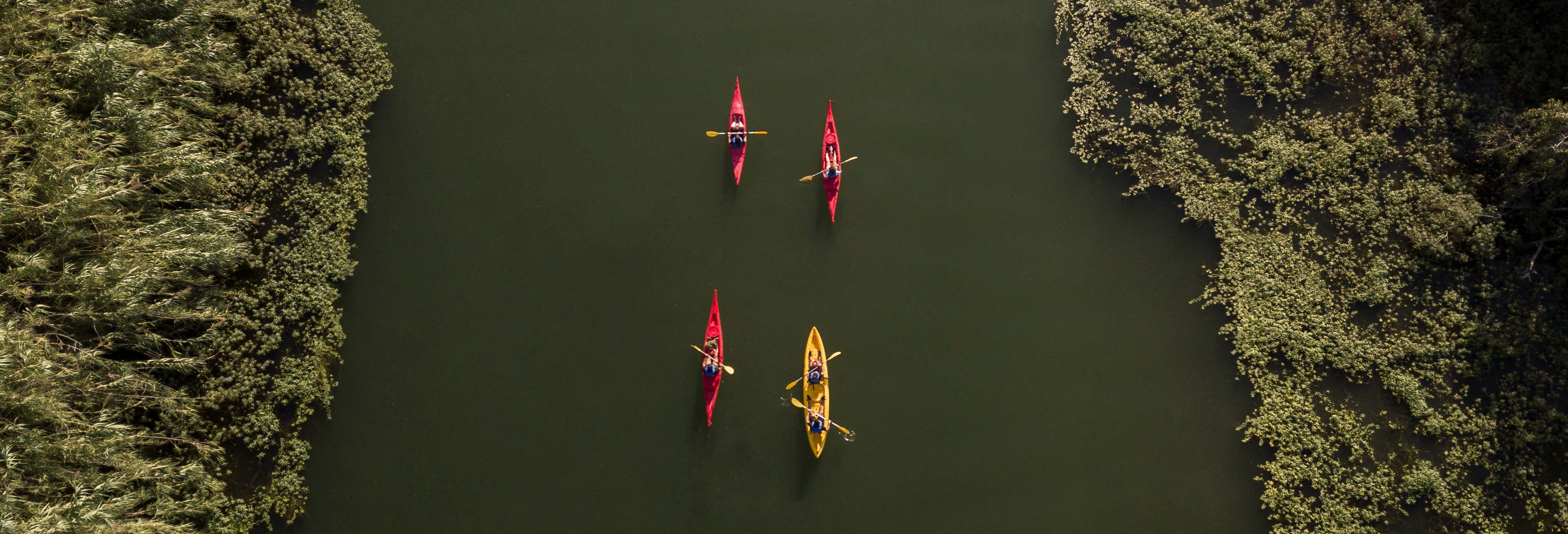 Gracia Island Kayak Tour